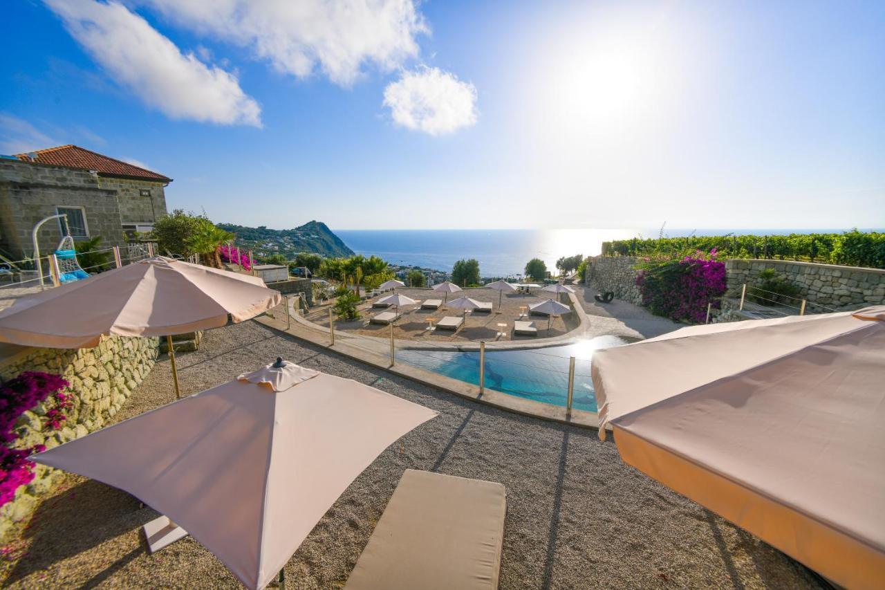 Tenuta C'est la Vie Forio di Ischia Extérieur photo