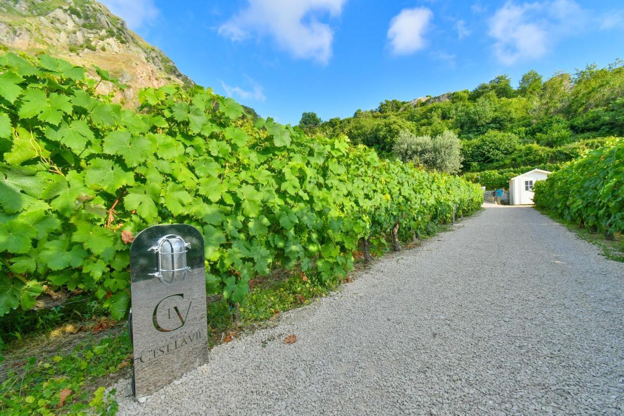 Tenuta C'est la Vie Forio di Ischia Extérieur photo