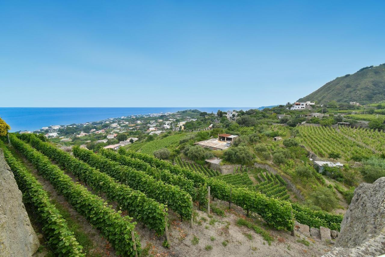 Tenuta C'est la Vie Forio di Ischia Extérieur photo